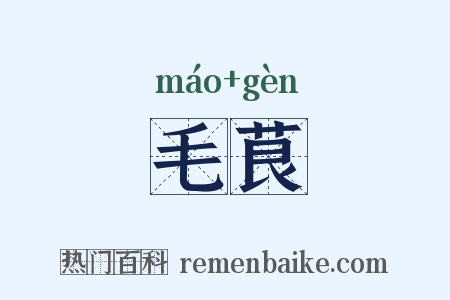 毛茛是什么意思的图片